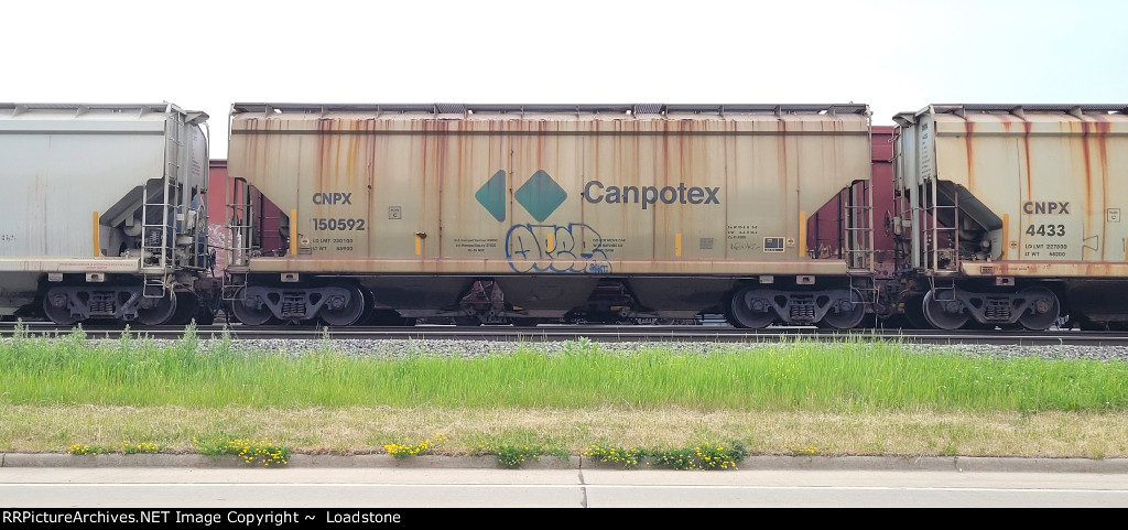 CNPX 150592